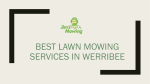 Best Lawn Mowing Services in Werribee