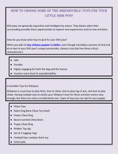 How to choose some of the irresistible toys for your little Shih poo