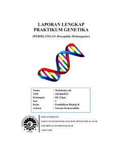 GENETIKA UNIT 3 - PERSILANGAN D.MELANOGASTER - WAHDANIYYAH (1814042033)- PEND.B18- KLP 3 SESI 2