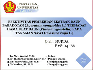 Efektivitas Ekstrak Daun Babadotan terhadap Hama Ulat Daun Sawi