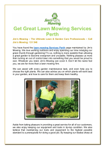 Get Great Lawn Mowing Services Perth