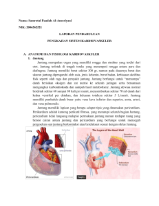 pengkajian kardiovaskular