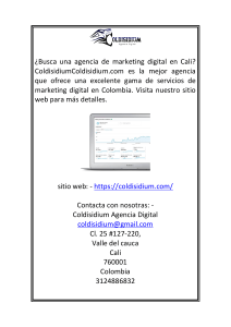 Agencia Digital  Coldisidium.com