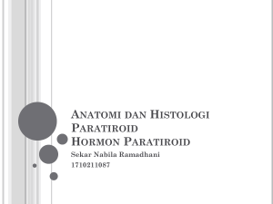 Anatomi dan Histologi Paratiroid