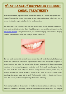 What Exactly Happens In The Root Canal Treatment