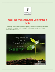 Hybrid Rice Seed Companies in India