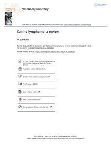 Canine lymphoma a review