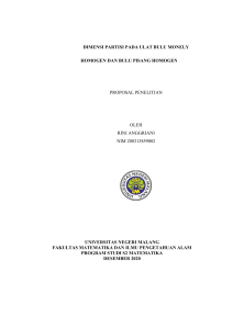 Pendahuluan