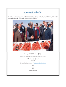 اخبار مصر الان (1)