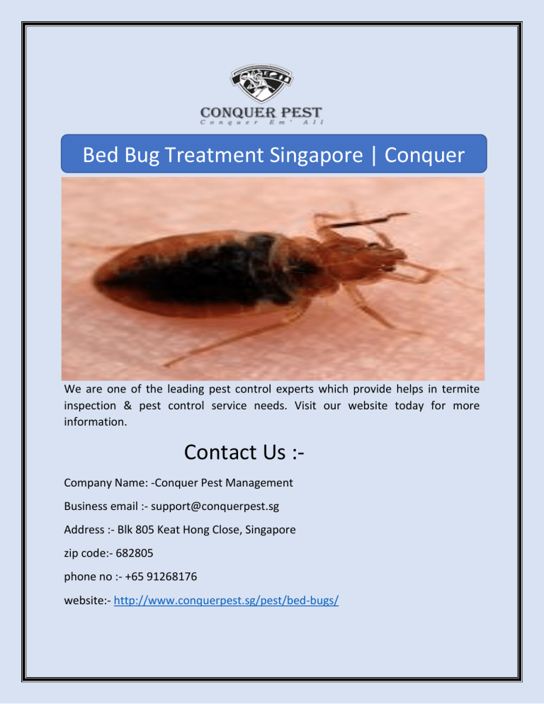 Bed Bug Treatment Singapore Conquer Pest