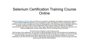 Selenium Training Online 