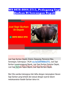 WA 0878-8064-3713, Pedagang Sapi Qurban Di Sawangan Depok
