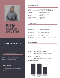 CV Finna Audiya