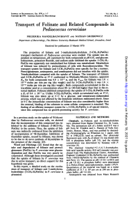 Journal of Bacteriology-1970-Mandelbaum-Shavit-1.full