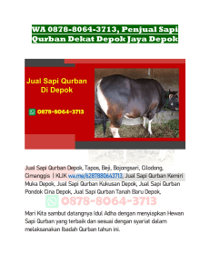 WA 0878-8064-3713, Penjual Sapi Qurban Dekat Depok Jaya Depok