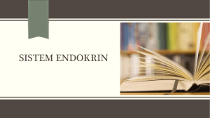 05.Sistem Endokrin 