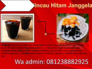 0812 3288 2925, Supplier Ekstrak Cincau Tangerang