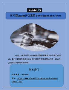 东南亚Lazada开店运营  Therabbitb.com china 