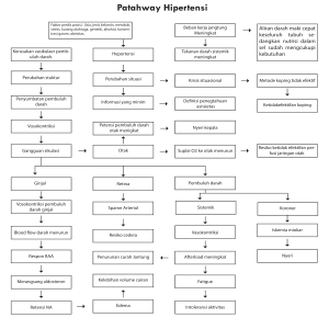 pathway hipertensi