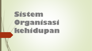 Sistem Organisasi kehidupan