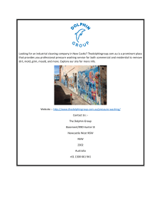 Commercial Pressure Washing Service in NSW  Thedolphingroup.com.au