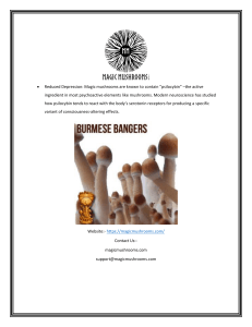 Buy Shrooms Online  Magicmushrooms.com