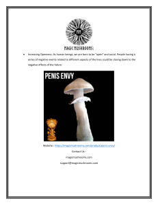 Penis Envy Spore Syringe  Magicmushrooms.com (1)