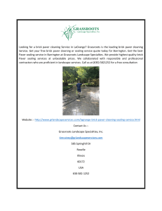 Paver Cleaning LaGrange  Grassroots Landscape Specialties