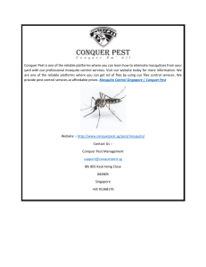 Mosquito Control Singapore  Conquer Pest