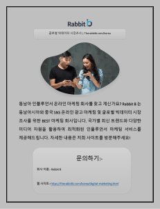 글로벌 빅데이터 시장조사 | Therabbitb.com/korea 