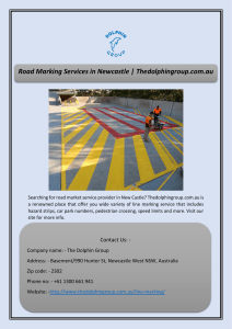 Road Marking Services in Newcastle | Thedolphingroup.com.au