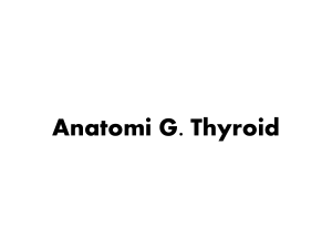 Anatomi G. Thyroid