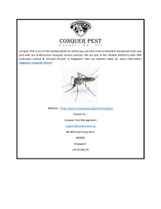 Singapore Mosquito Control  Conquer Pest