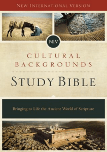 -Essays-and-more-essays-NIV-Cultural-Backgrounds-Study-Bible-Bringing-to-