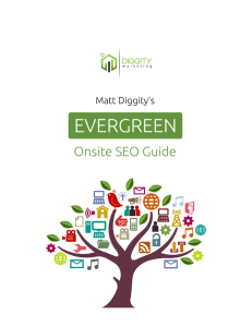 Diggity SEO - On-site SEO Guide v1.14