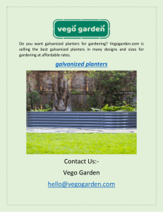 Find The Best Galvanized Planters Online For Garden| Vego Garden
