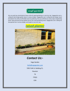 Buy The Raised Planter Box Online For Gardening| Vego Garden