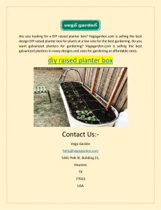 Search DIY Raised Planter Box Online For Gardening| Vego Garden