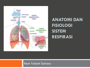 Anatomi Fisiologi Sistem Pernapasan