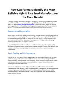 How Can Farmers Identify the Most Reliable Hybrid Rice Seed Manufacturer for Their Needs