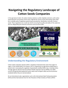 Navigating the Regulatory Landscape of Cotton Seeds Companies