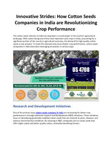 Innovative Strides: How Cotton Seeds Companies in India are Revolutionizing Crop Performance