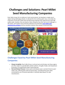 Challenges and Solutions: Pearl Millet Seed Manufacturing Companies