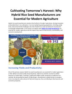Cultivating Tomorrow's Harvest: Why Hybrid Rice Seed Manufacturers are Essential for Modern Agriculture