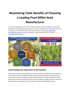 Maximizing Yield: Benefits of Choosing a Leading Pearl Millet Seed Manufacturer