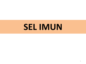 521407656-SEL-IMUN