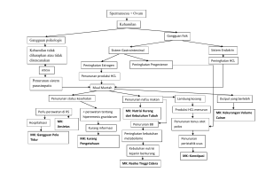 pathway-anc compress