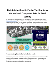 Maintaining Genetic Purity: The Key Steps Cotton Seed Companies Take for Seed Quality