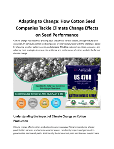 Adapting to Change: How Cotton Seed Companies Tackle Climate Change Effects on Seed Performance