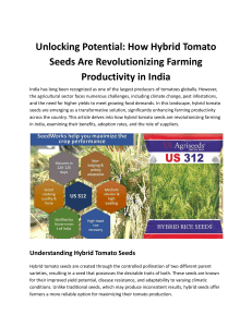 Unlocking Potential: How Hybrid Tomato Seeds Are Revolutionizing Farming Productivity in India